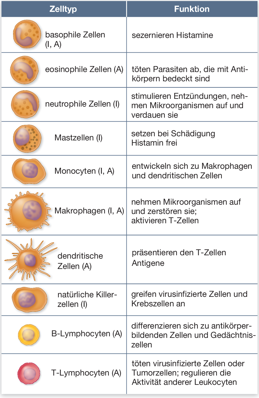 Immunologie Abwehrsysteme Der Tiere Springerlink