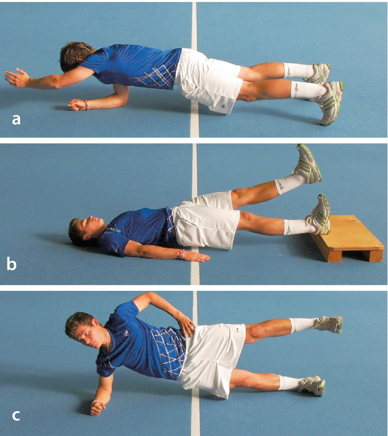 Krafttraining Springerlink