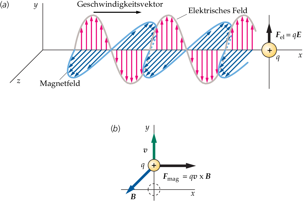 Die Maxwell'schen Gleichungen – Elektromagnetische Wellen | SpringerLink