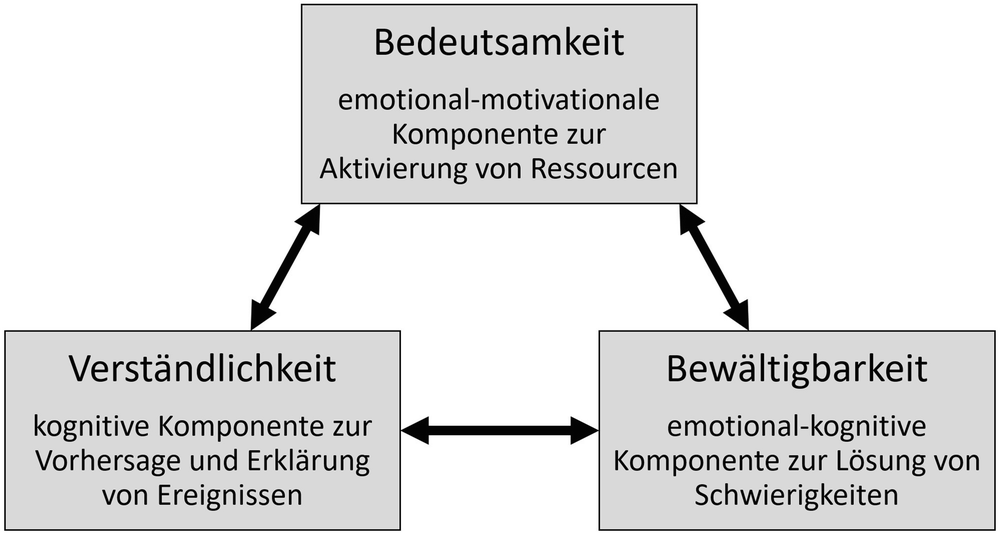 modelle von gesundheit und krankheit springerlink