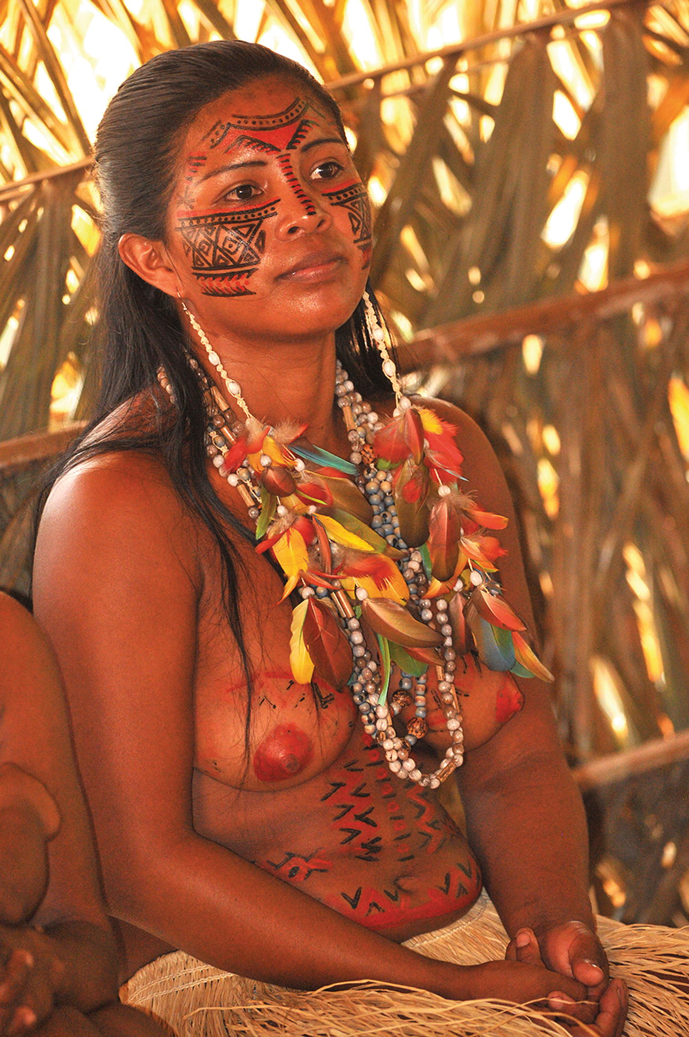 Die Menschen am Amazonas | SpringerLink