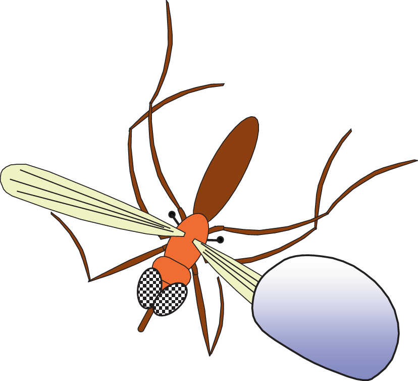 Gliederfusser Eine Ganz Geheimnisvolle Grossmacht Springerlink