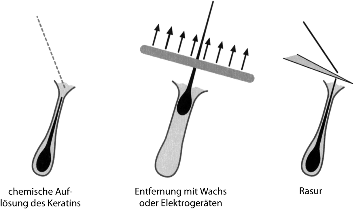 d springerlink