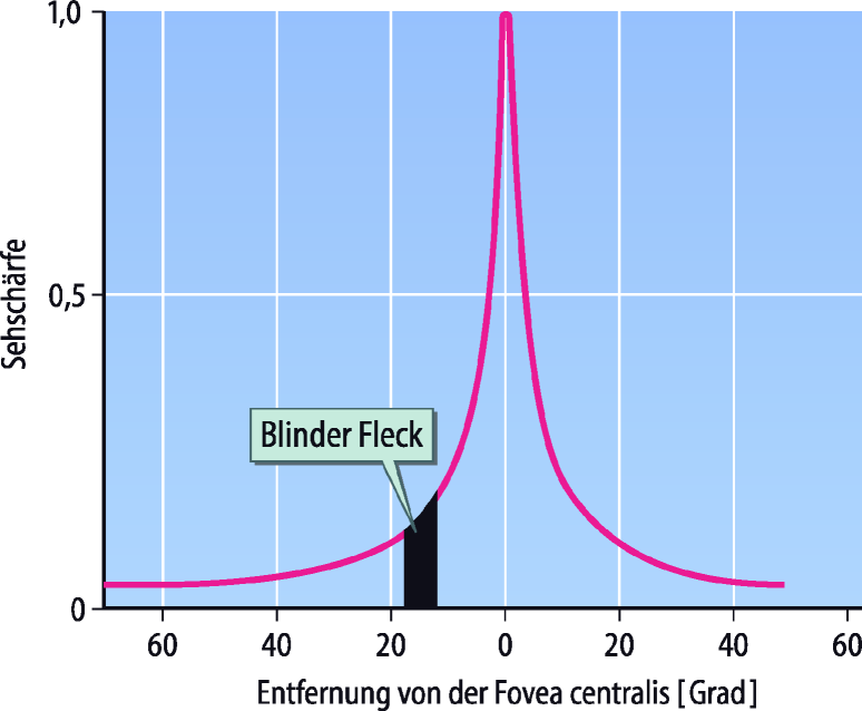 Untersuchungsmethoden Des Ophthalmologen Springerlink