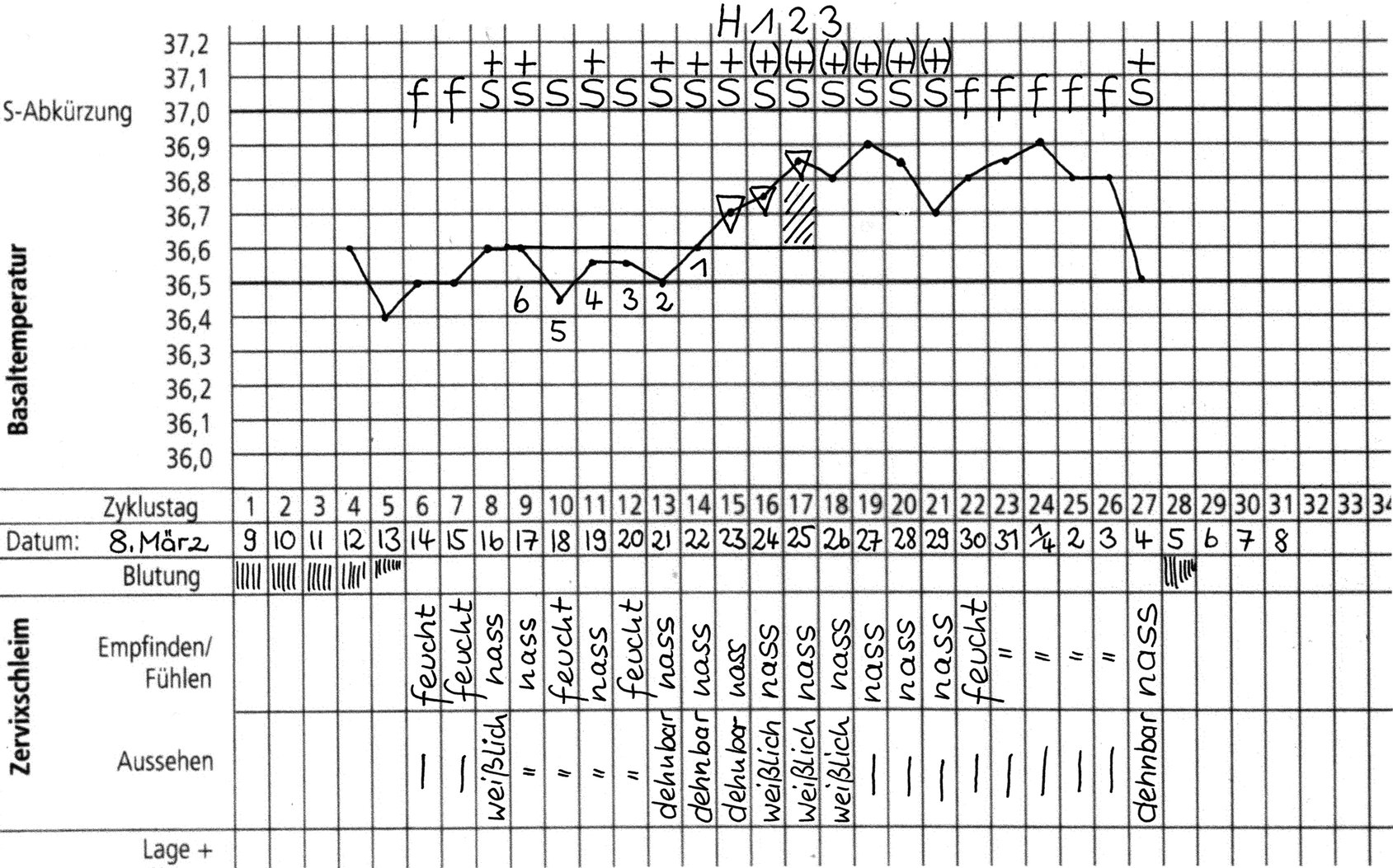 Nfp zyklusblatt More about