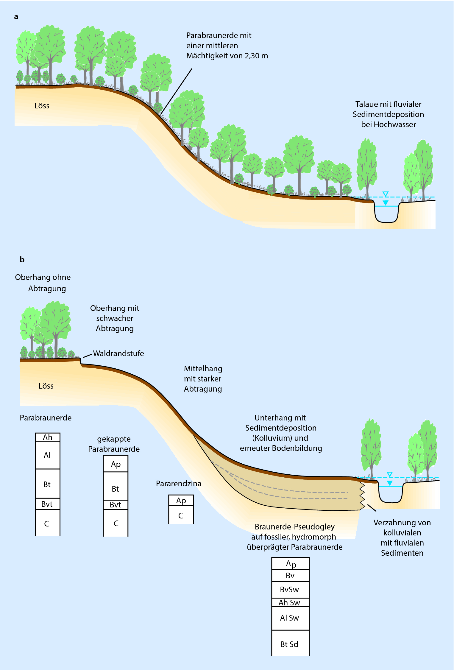 Historische Bodenerosion Sedimentspeicherung Und Ihre Bedeutung Im Kohlenstoffkreislauf Springerlink