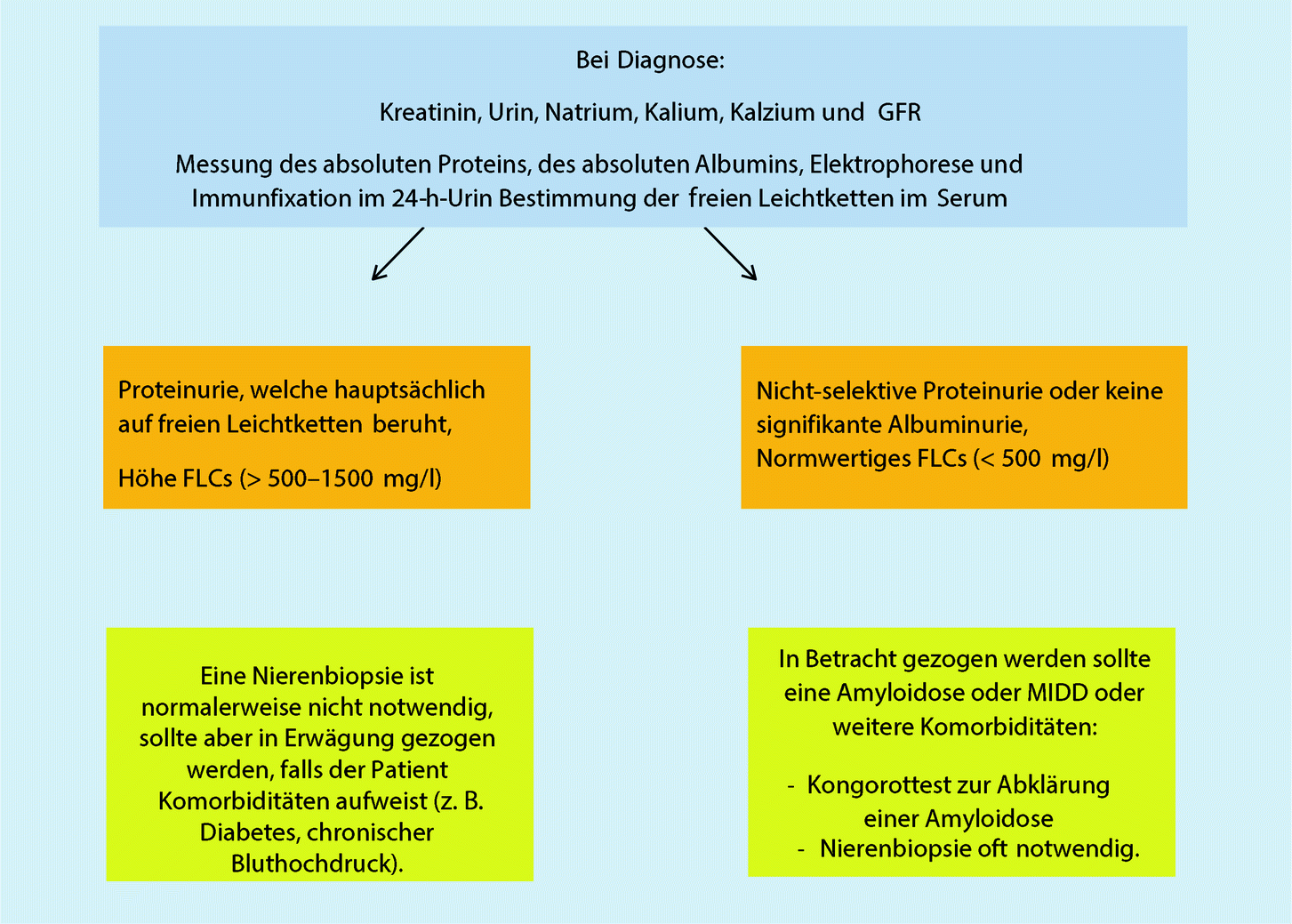 Multiples Myelom Und Andere Plasmazellulare Erkrankungen Springerlink