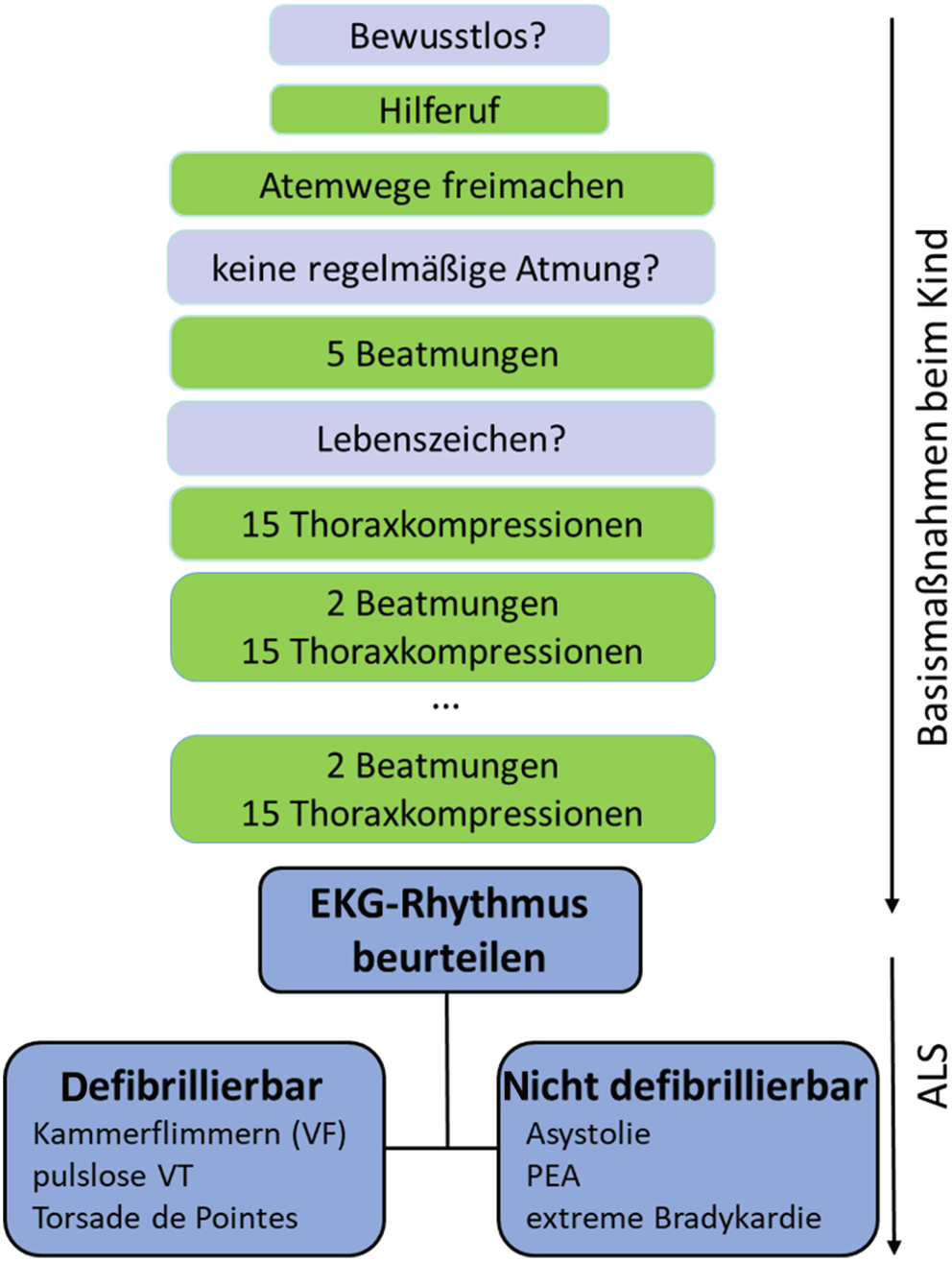 akute herzkreislaufinsuffizienz und schock springerlink