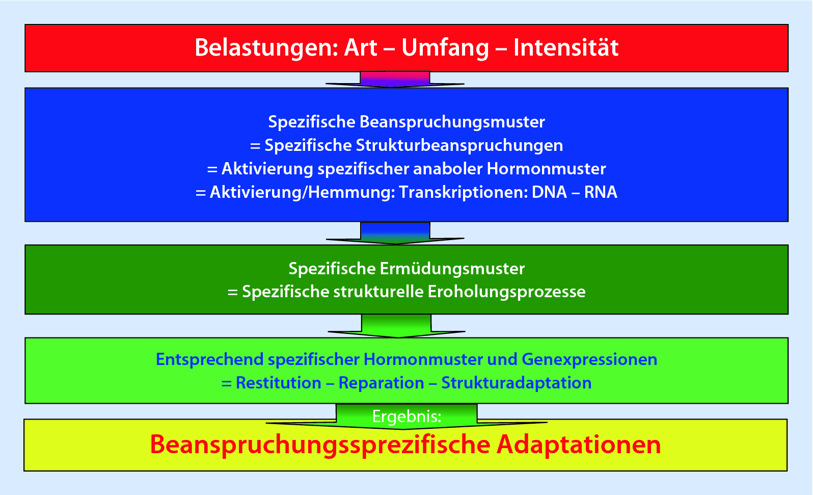 Sensomotorik Abhangige Funktionen Und Korperstrukturen Springerlink