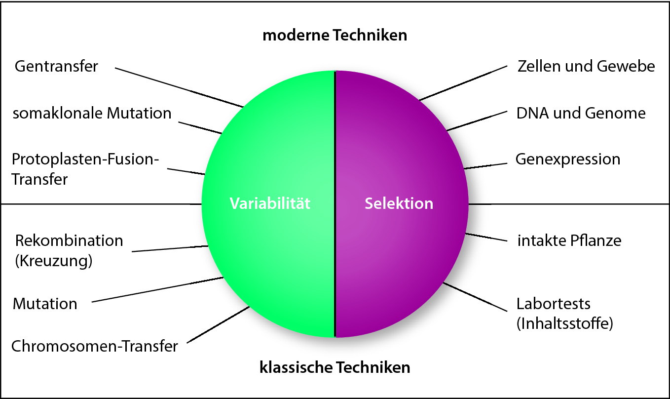 Einleitung Springerlink