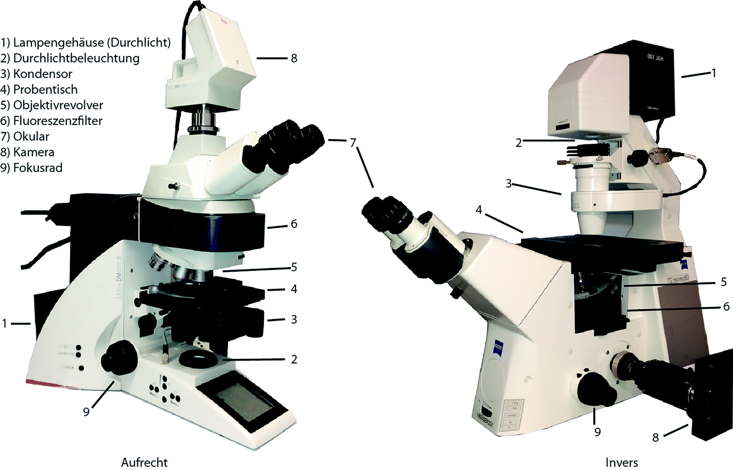 Lichtmikroskopische Methoden | SpringerLink