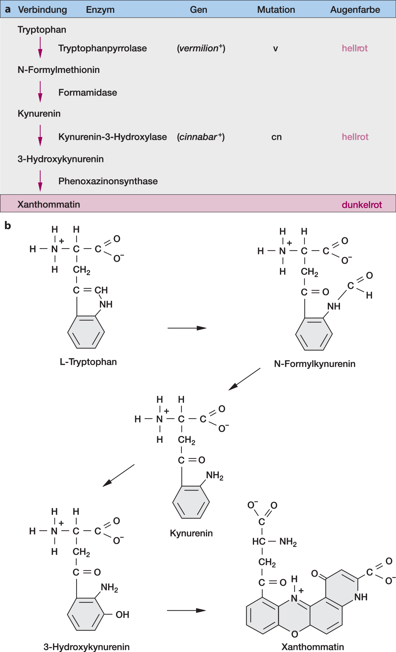 Kl. teil e. chem. verbindung 8 buchstaben