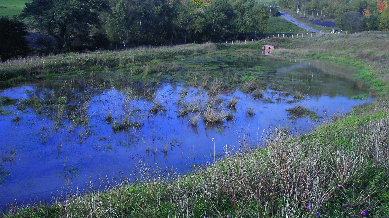 Passive Methoden Zur Behandlung Von Grubenwasser Springerlink