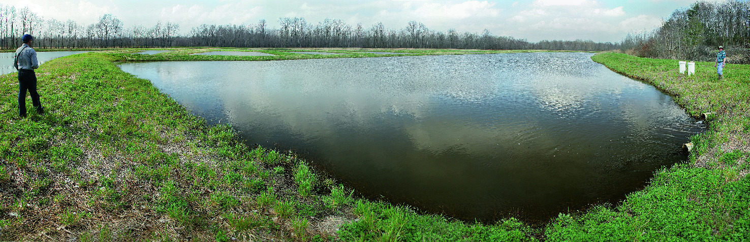 Passive Methoden Zur Behandlung Von Grubenwasser Springerlink