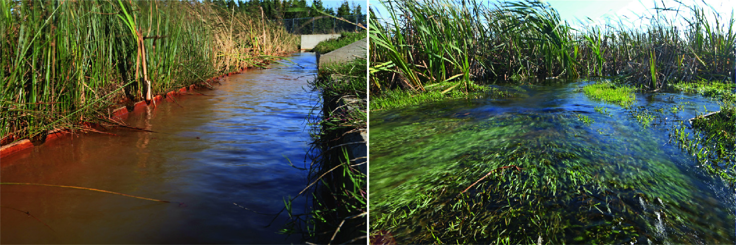 Passive Methoden Zur Behandlung Von Grubenwasser Springerlink