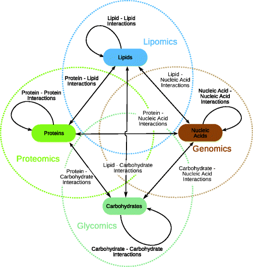 Sugar Code (Glycocode) SpringerLink