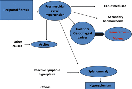Pre sinusoidalis schistosomiasis A portális hypertensio sebészete