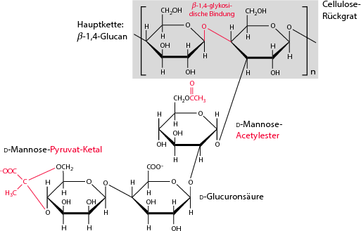 Polysaccharide Und Polyhydroxyalkanoate Springerlink
