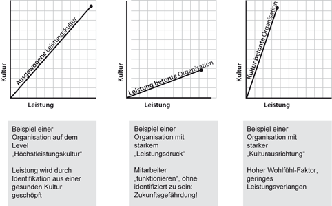 Im Spannungsfeld Zwischen Leistung Und Kultur Springerlink