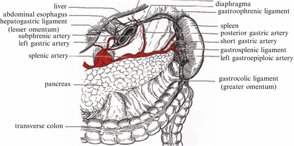 For Treatment Of The Upper Area Of The Stomach Springerlink