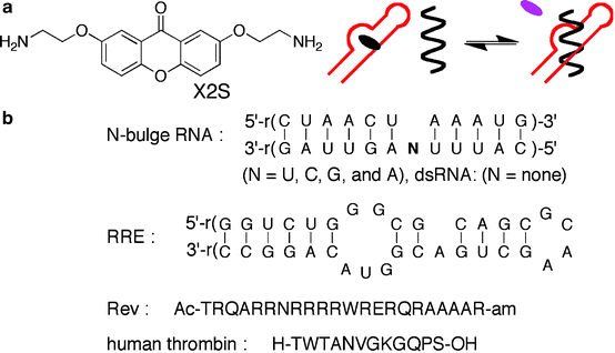 Toward The Discovery Of Small Molecules Affecting Rna Function Springerlink