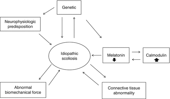 Neurological Research In Idiopathic Scoliosis Springerlink