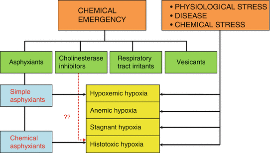 Hypoxia In Acute Chemical Emergencies Toxicity Mechanism And Treatment Springerlink