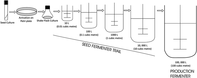 Fermentation Technology | SpringerLink