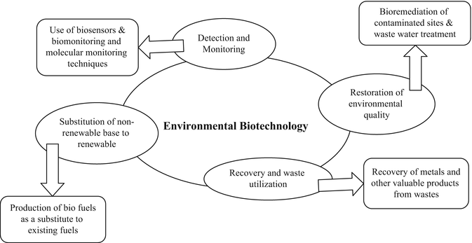 Environmental Biotechnology: A Quest for Sustainable Solutions | SpringerLink
