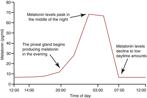 New Galenic Formulations Of Melatonin Springerlink
