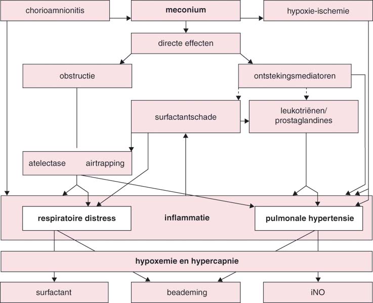 41 Neonatologie Springerlink