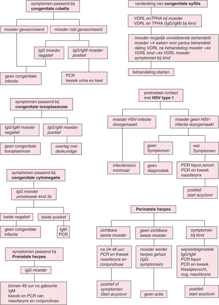 41 Neonatologie Springerlink