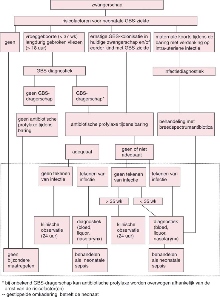 41 Neonatologie Springerlink