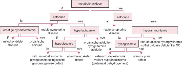 41 Neonatologie Springerlink