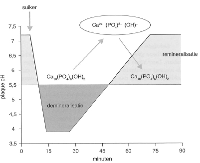 Voeding En Mond En Tandziekten Springerlink