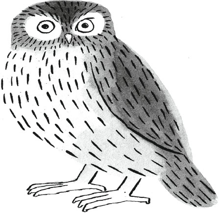 De Boom De Uil En Het Hart Springerlink