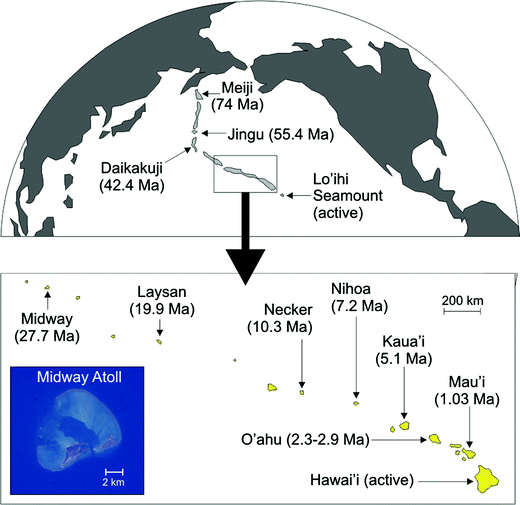 Pacific Atolls A World Apart Springerlink
