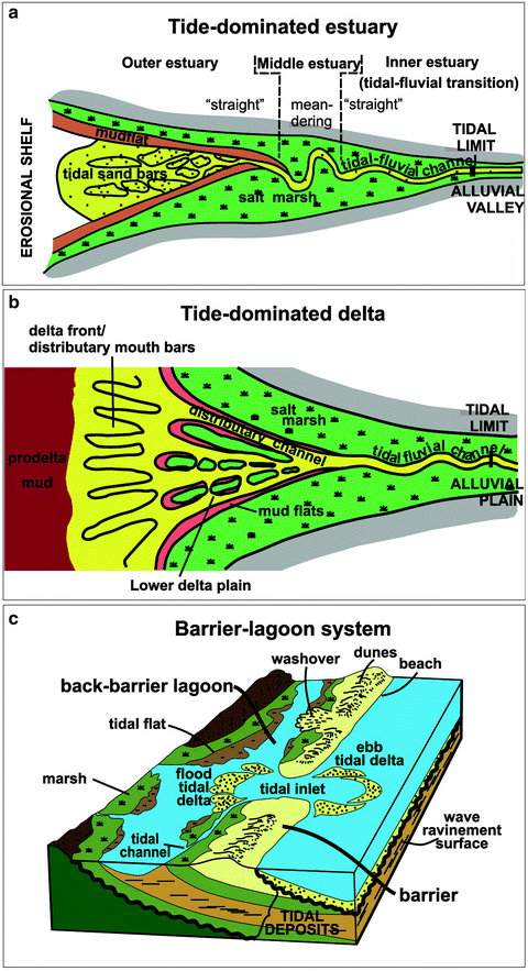 Tidal Deposits Of The Campanian Western Interior Seaway