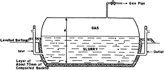 Biogas Production in Africa | SpringerLink