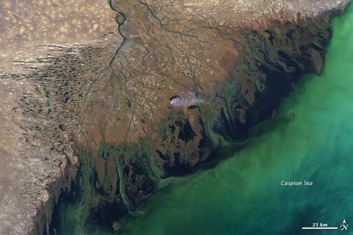volga river delta russia springerlink
