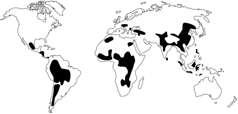 Soils And Iodine Deficiency Springerlink