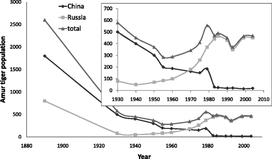 Siberian Tiger Population Chart