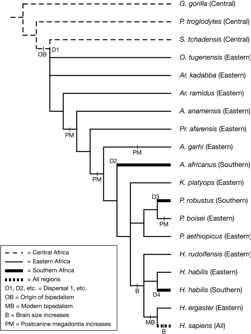 The Biogeographic Implications of Early Hominin Phylogeny | SpringerLink