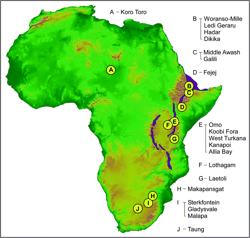 Reconstructing the Habitats of Australopithecus Paleoenvironments