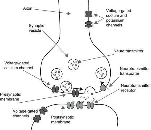 Snake Venom Toxins Targeted At The Nervous System Springerlink