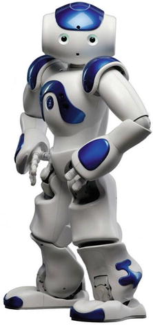 nao robot price
