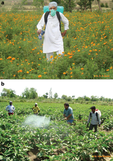 Pesticides Food Safety And Integrated Pest Management Springerlink