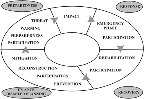 disaster cycle management fig