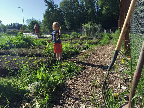 Harvesting Health In The Garden Springerlink