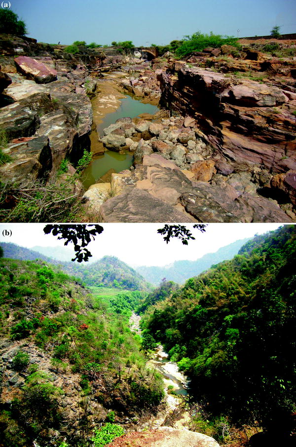 The Indian Peninsula Geomorphic Landscapes Springerlink